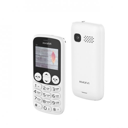 Мобильный телефон Maxvi B1 (white)