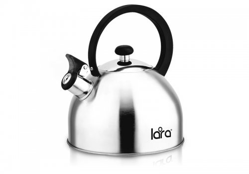 Чайник Lara LR00-65 матовый